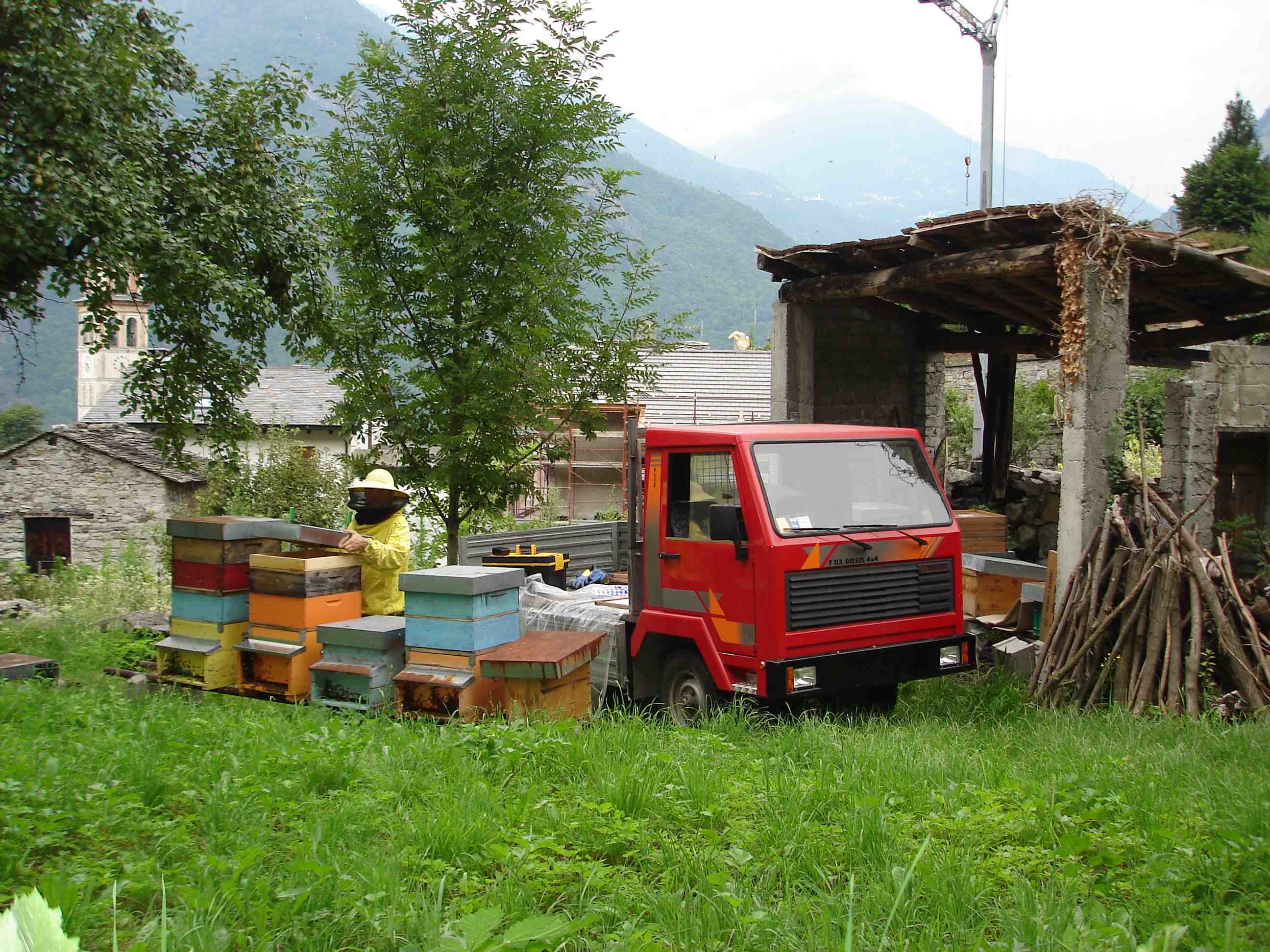 Smielatura in apiario